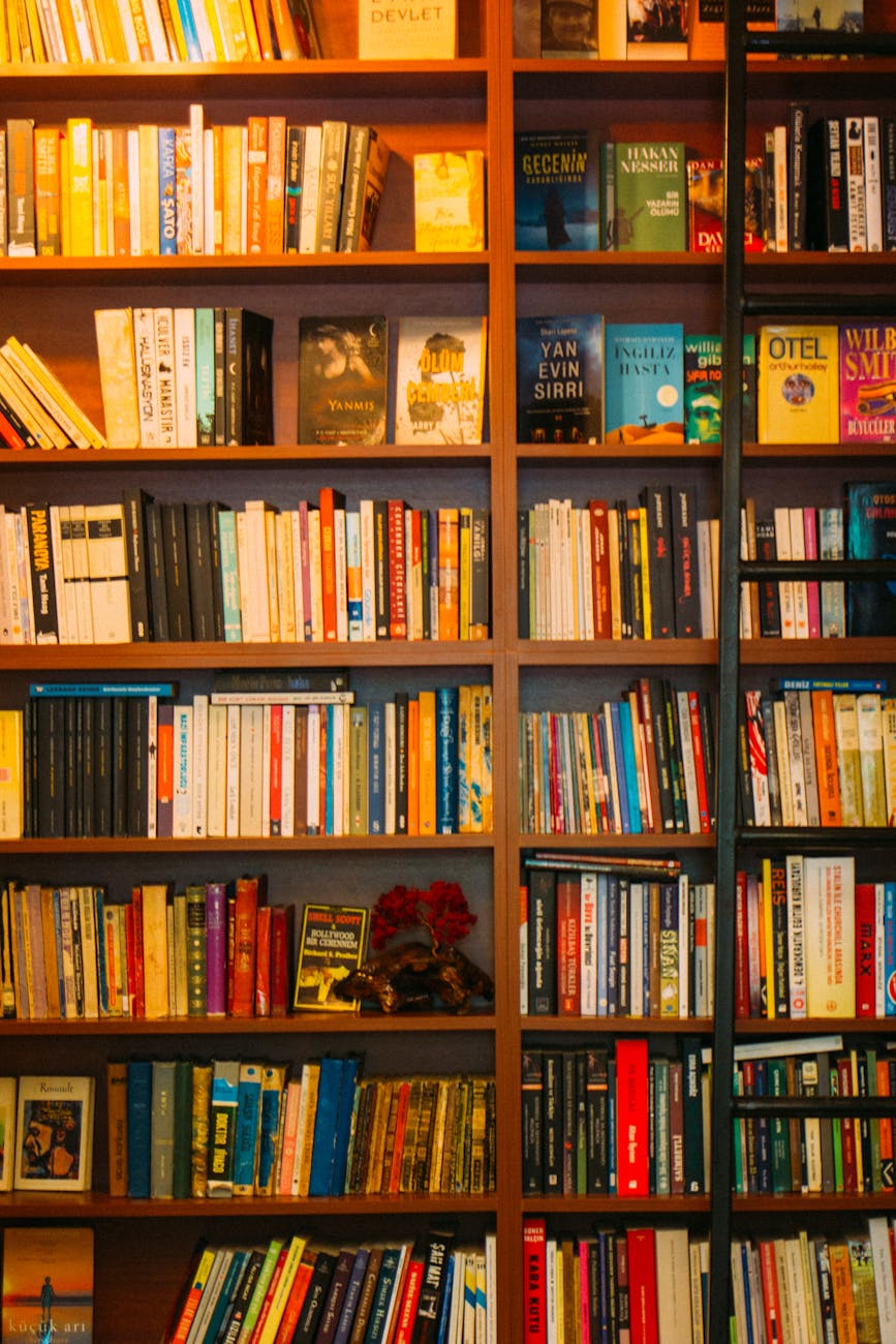 books in the bookshelves